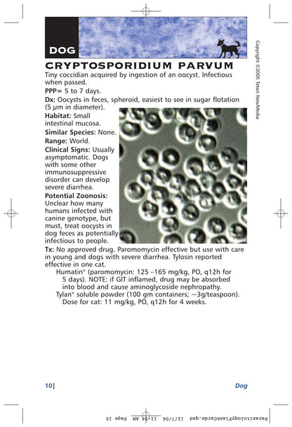 Parasitology Diagnosis and Treatment of Common Parasitisms in Dogs and Cats