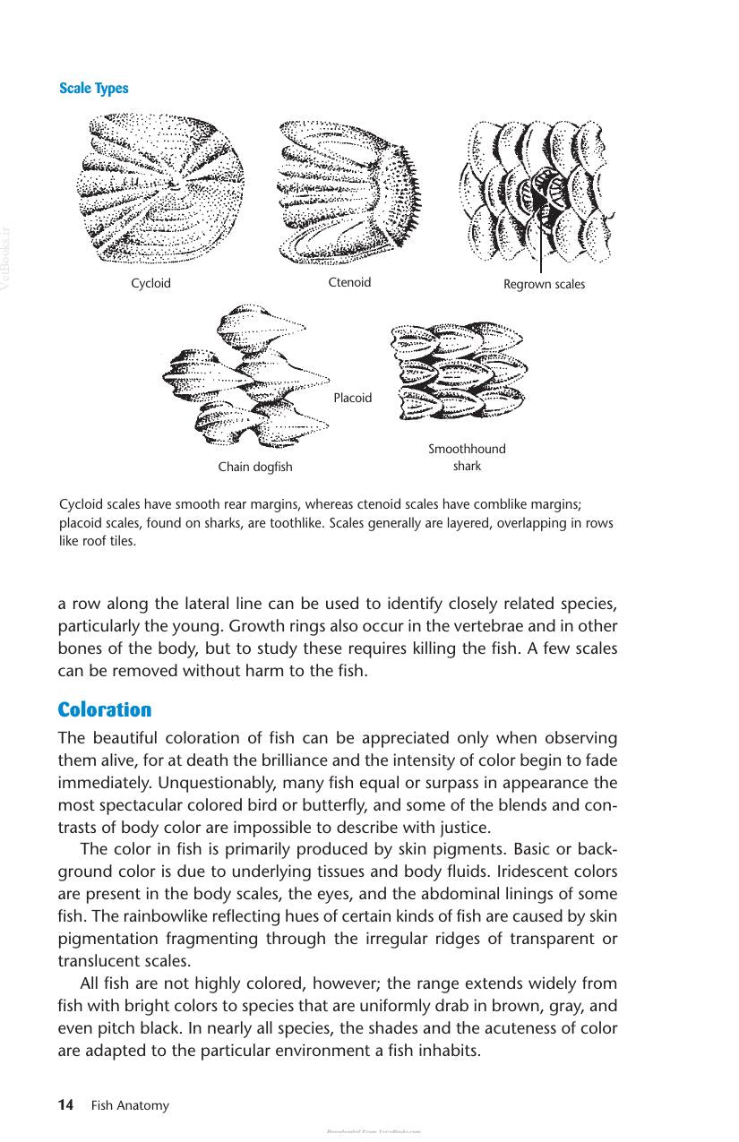 Look inside — page 16