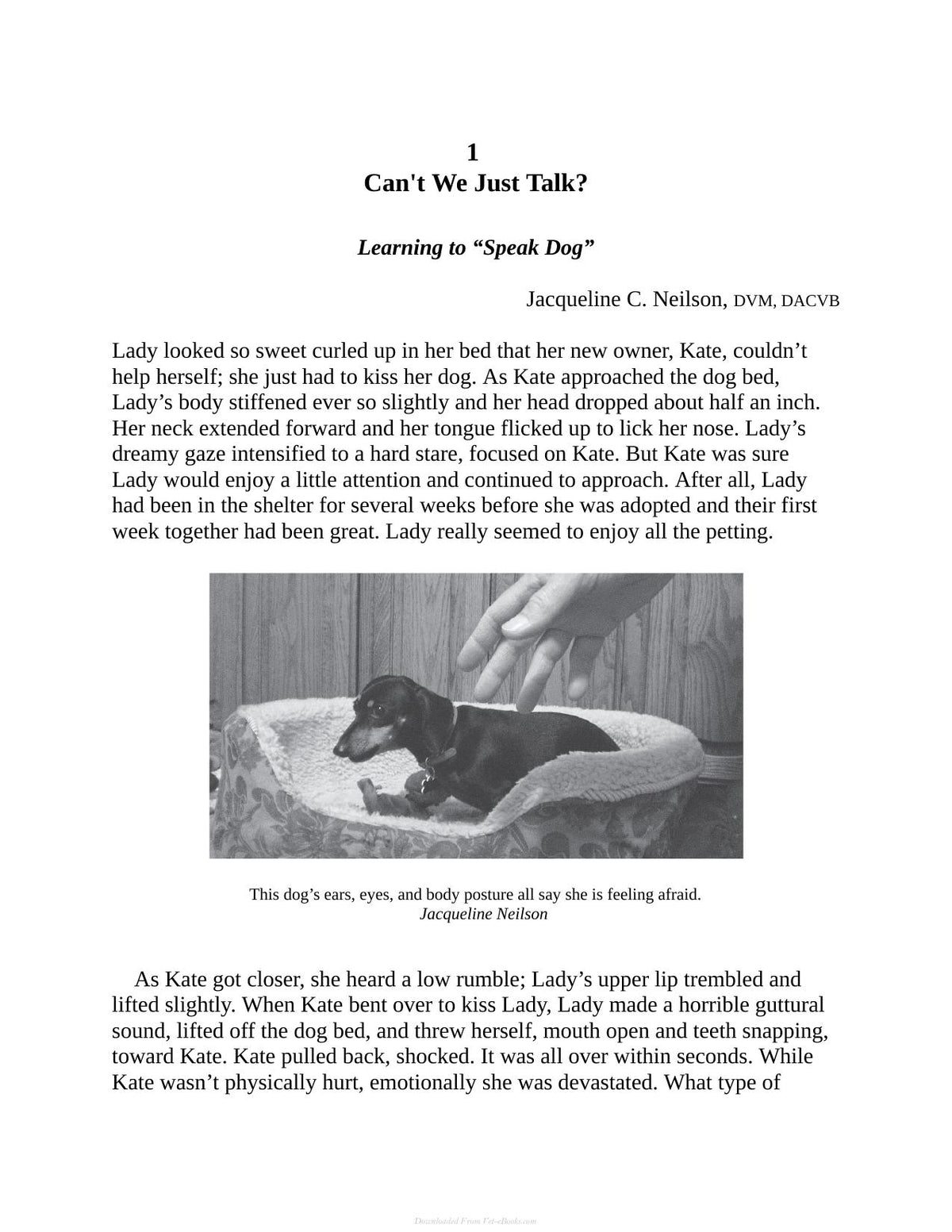 Decoding Your Dog
