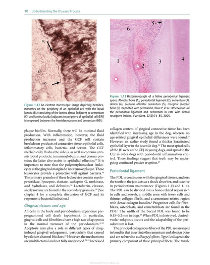 Veterinary Periodontology