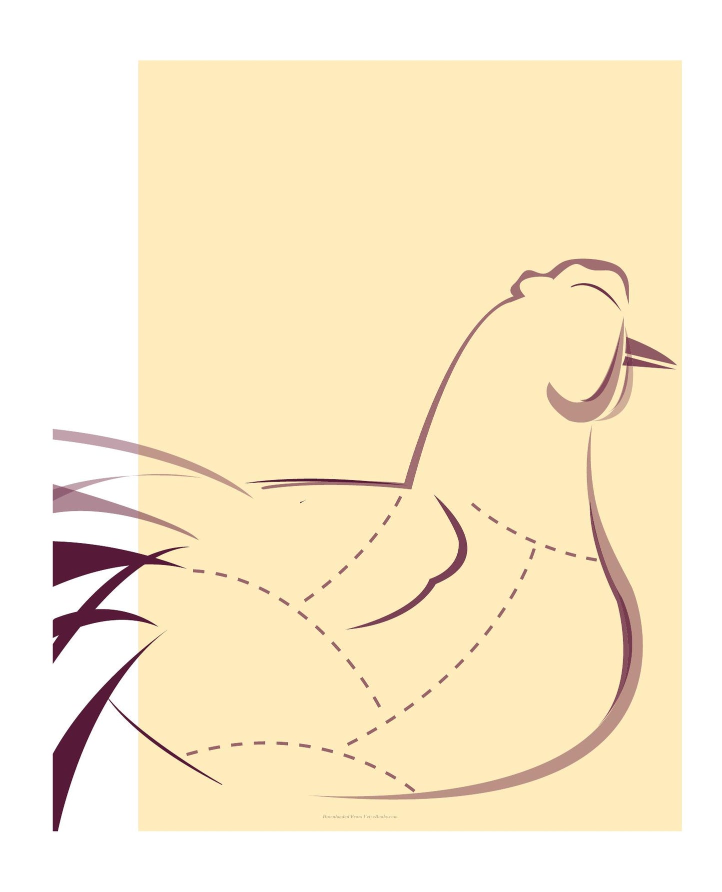 Guide To Poultry Identification Fabrication And Utilization