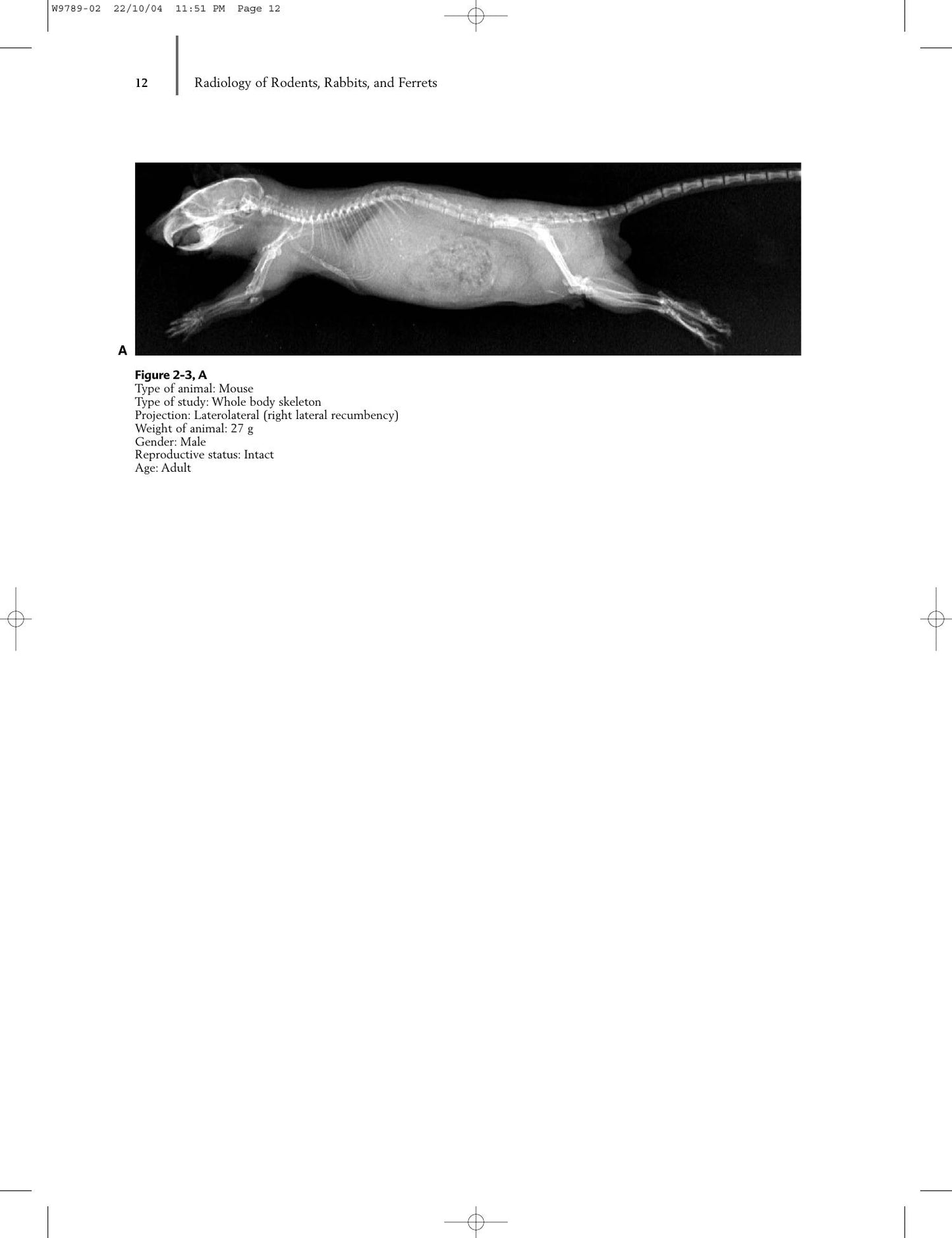 Radiology Of Rodents Rabbits And Ferrets An Atlas Of Normal Anatomy And Positioning