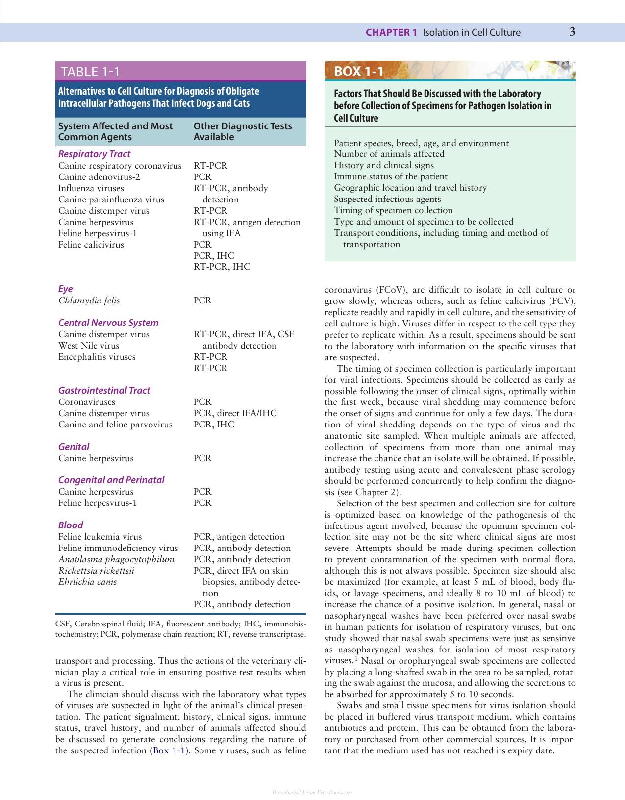 Canine And Feline Infectious Diseases