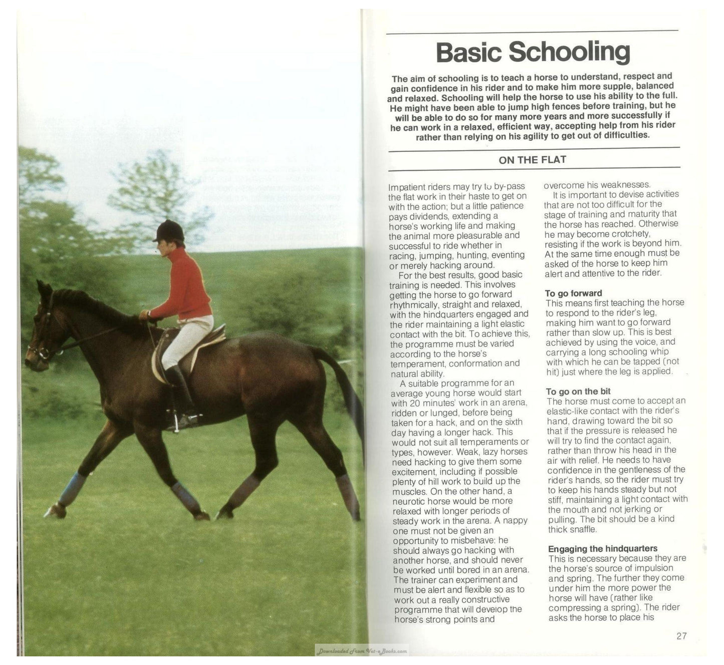 Young Riders Guide To Horse And Pony Care