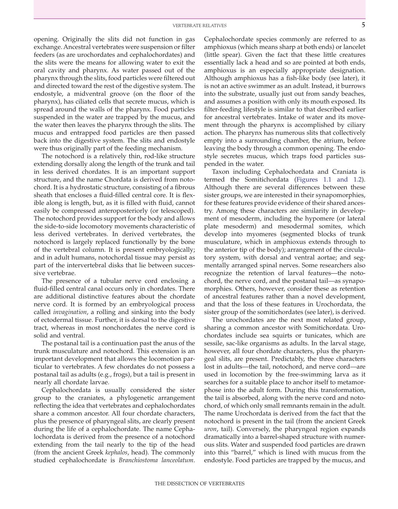 The Dissection Of Vertebrates 2Nd Edition