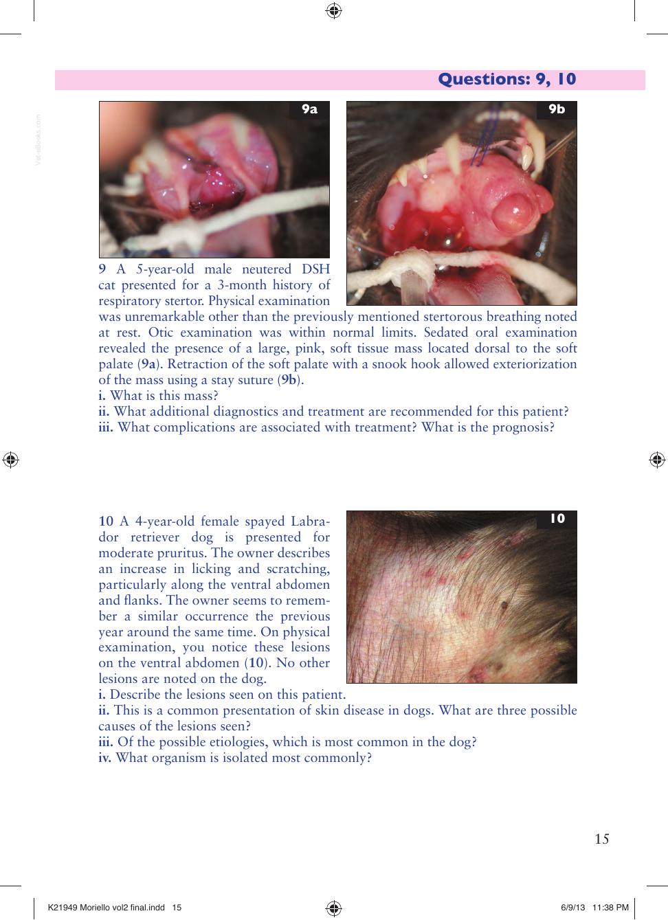 Small Animal Dermatology Advanced Cases Self Assessment Color Review