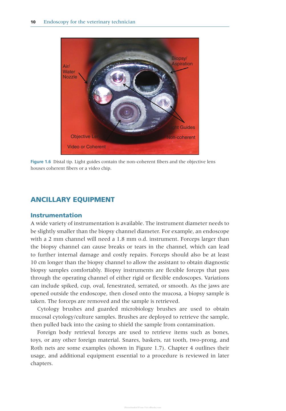 Endoscopy For The Veterinary Technician