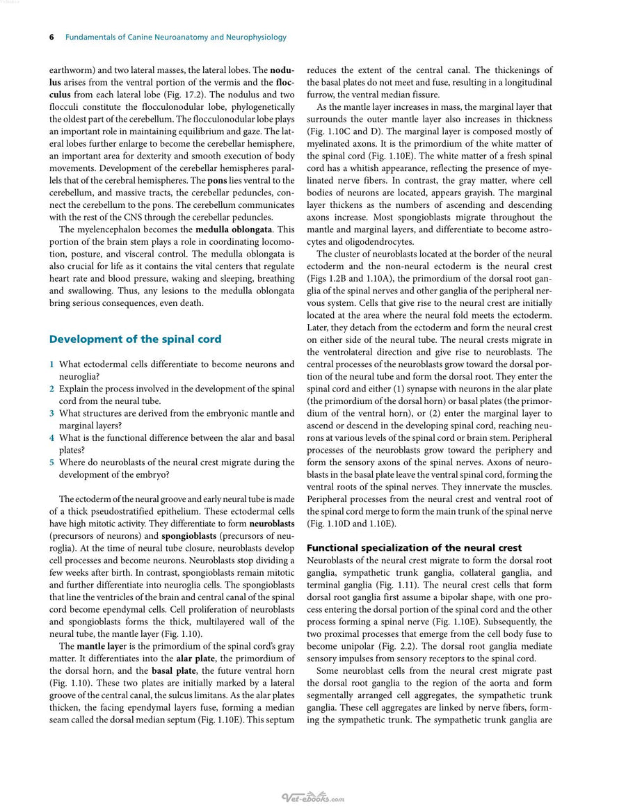 Preview page of Fundamentals of Canine Neuroanatomy and Neurophysiology