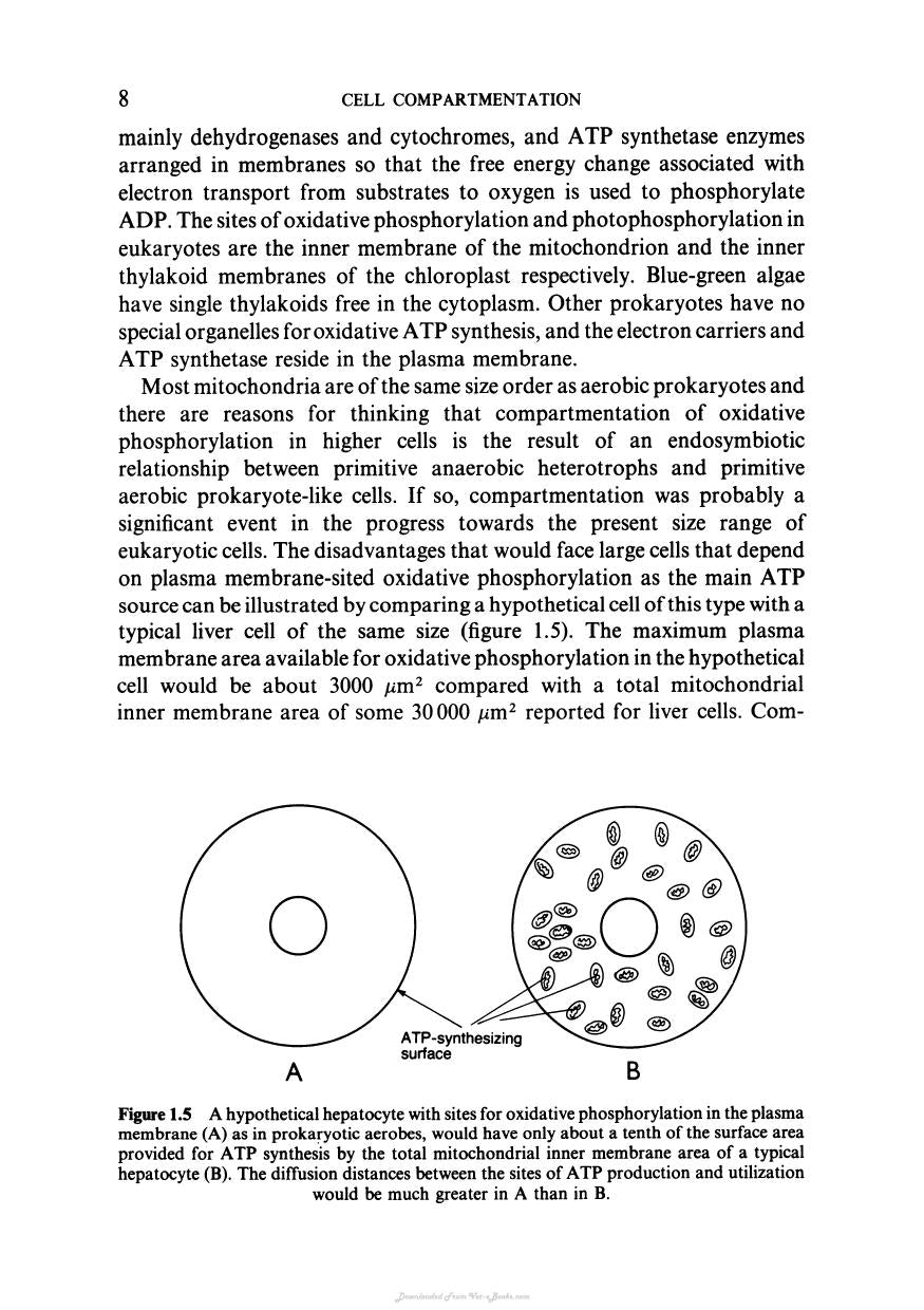 Biochemistry And Structure Of Cell Organelle