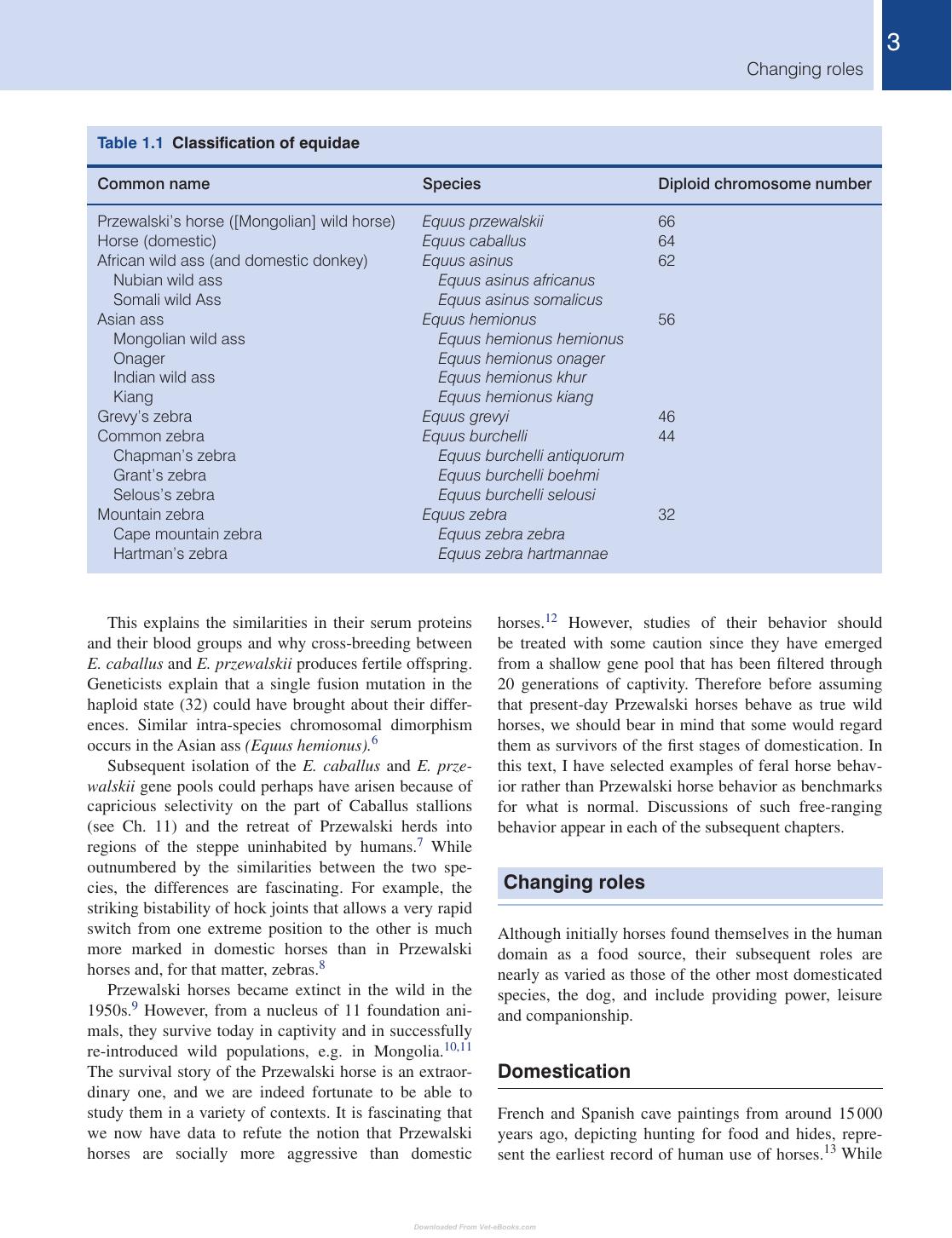 Equine Behavior A Guide For Veterinarians And Equine Scientists 2Nd Edition
