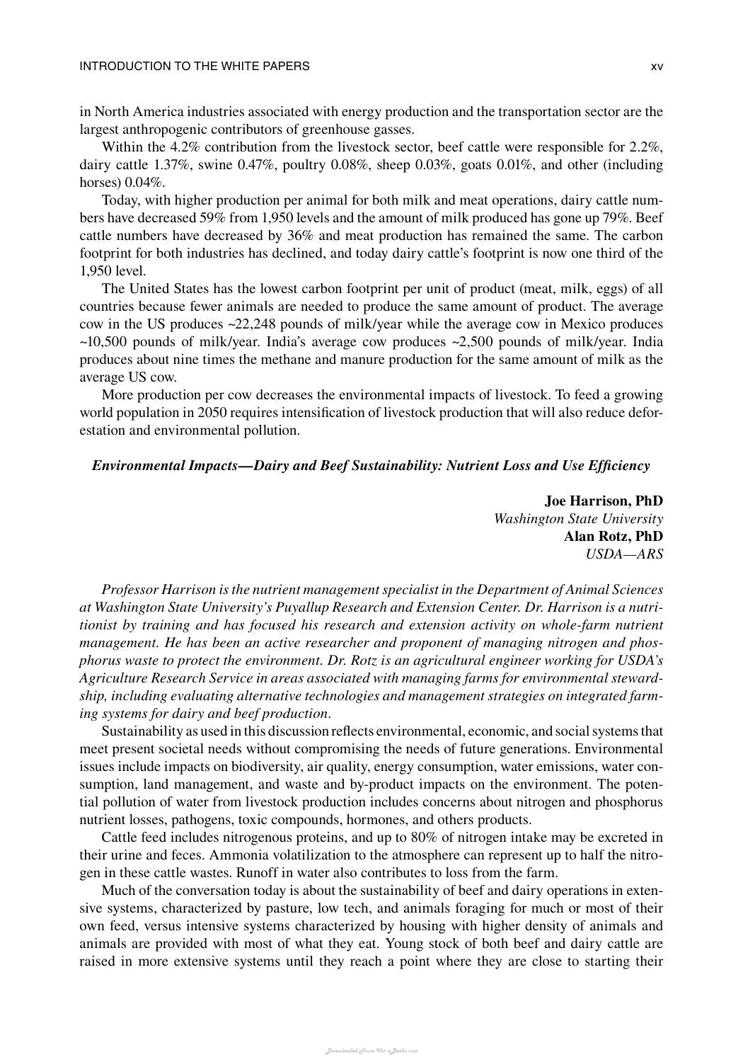 The Welfare Of Cattle