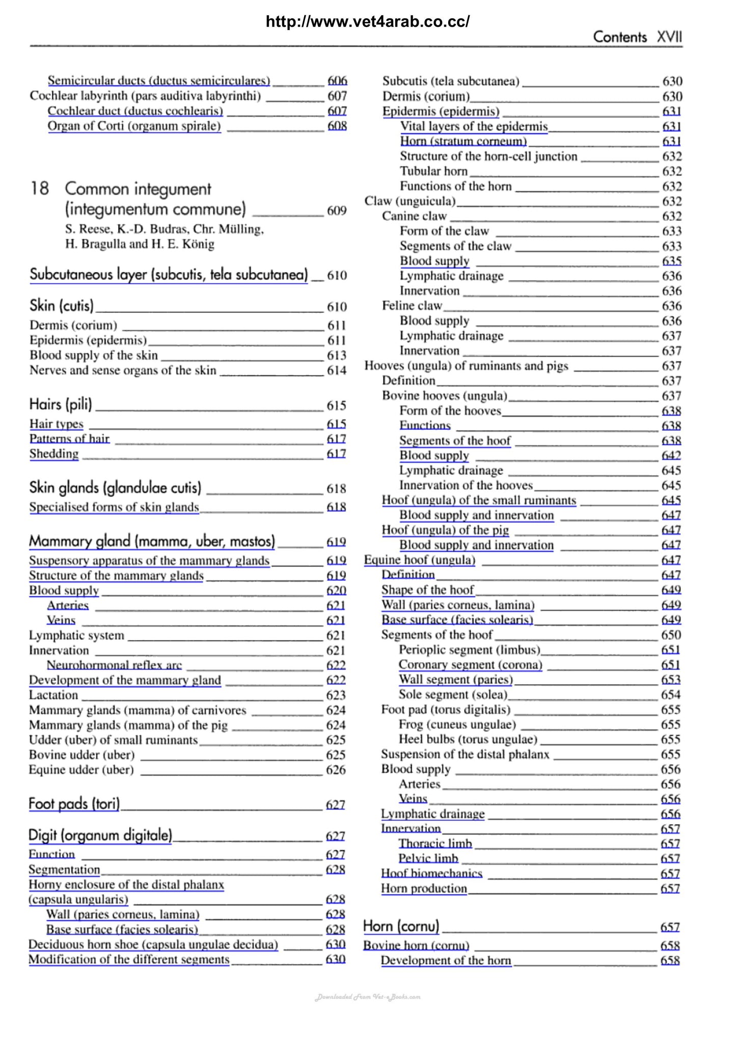 Veterinary Anatomy Of Domestic Mammals 3Rd Edition