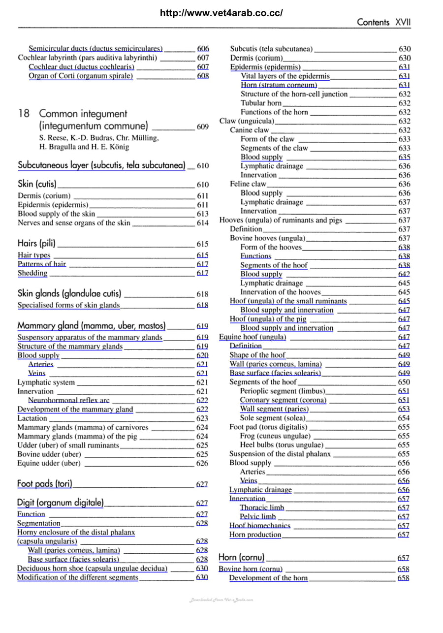 Preview page of Veterinary Anatomy of Domestic Mammals 3rd Edition
