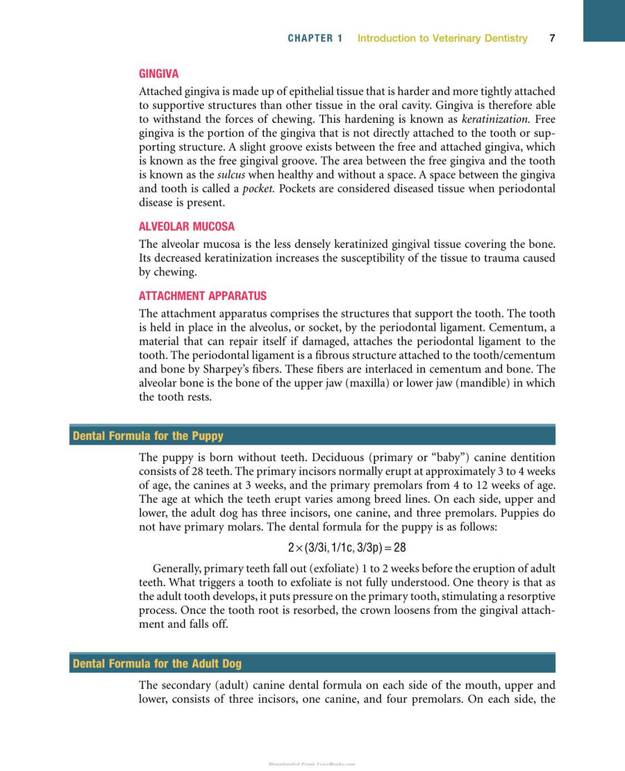 Preview page of Veterinary Dentistry a Team Approach 2nd Edition