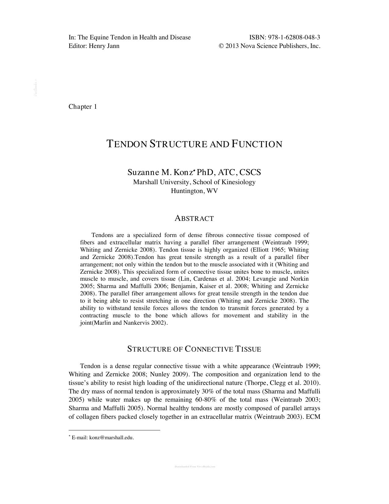 Equine Tendon In Health And Disease