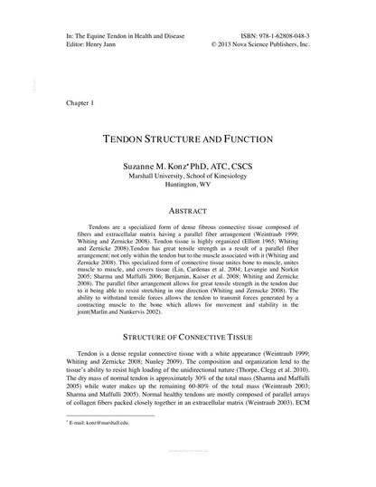 Equine Tendon in Health and Disease