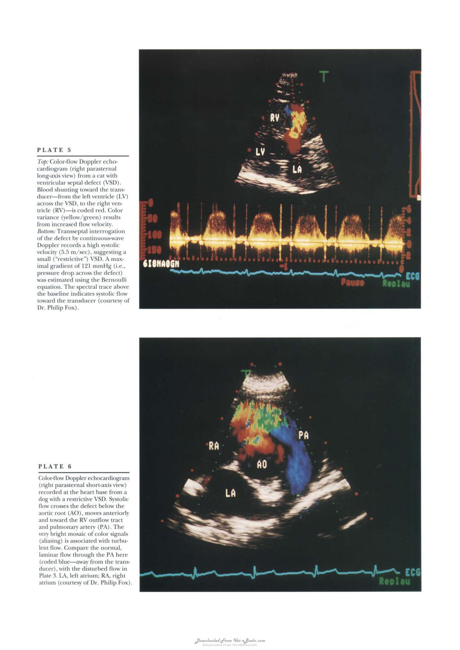 Preview page of Textbook of Canine and Feline Cardiology Principles and Clinical Practice 2nd Edition