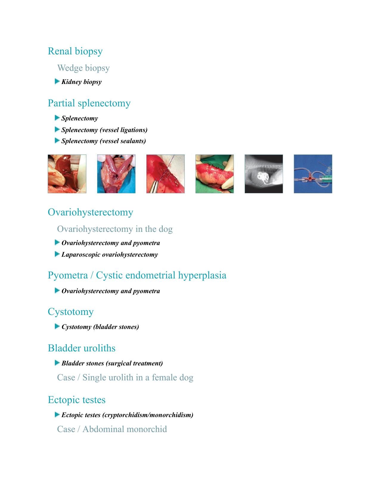 Small Animal Surgery A Step By Step Guide Surgical Technique