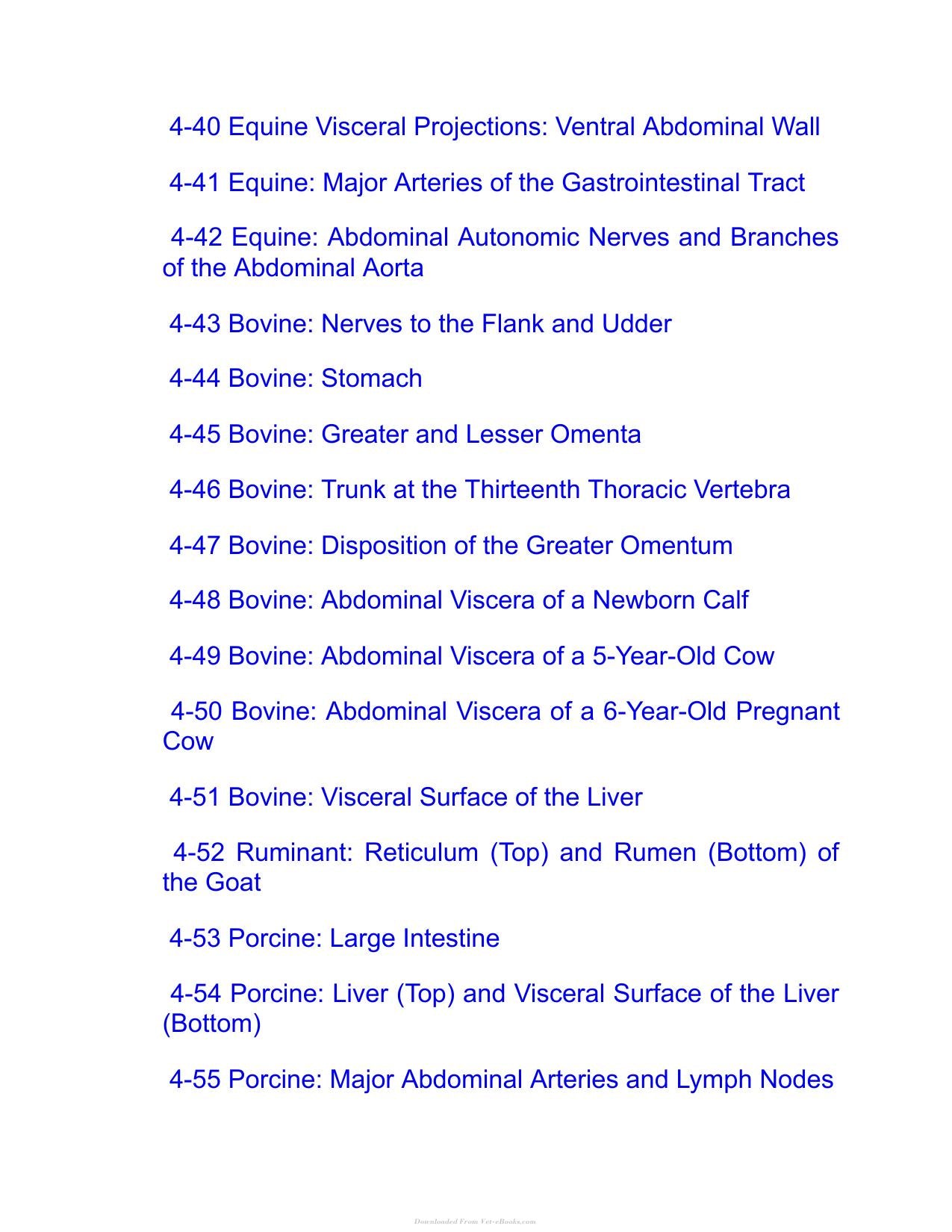 Saunders Veterinary Anatomy Flash Cards 2Nd Edition