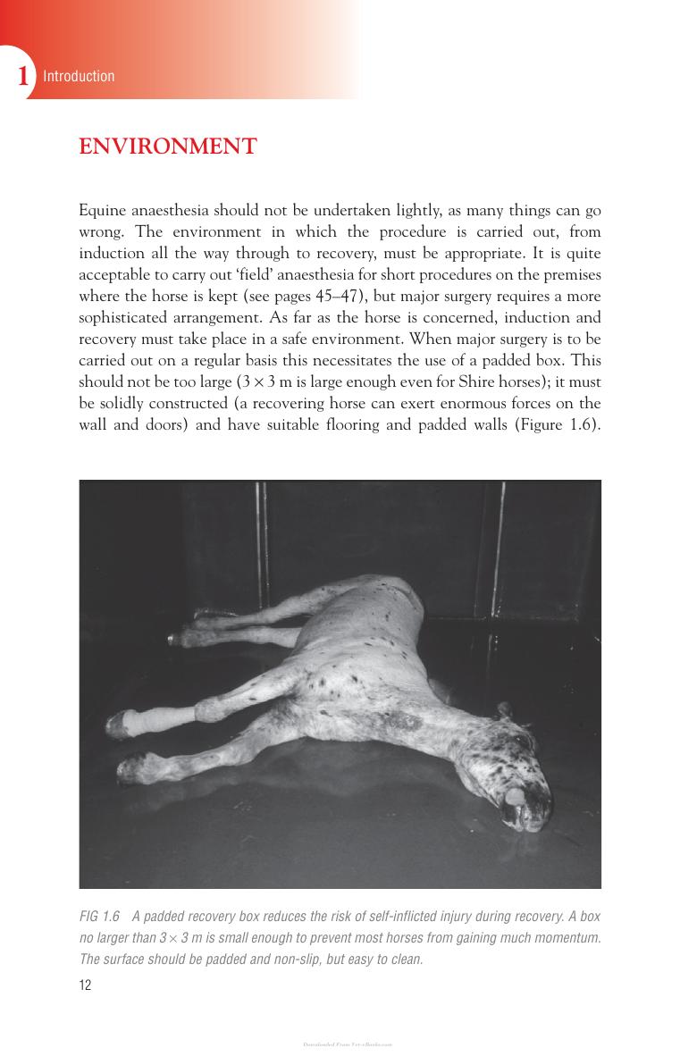 Handbook Of Equine Anaesthesia 2Nd