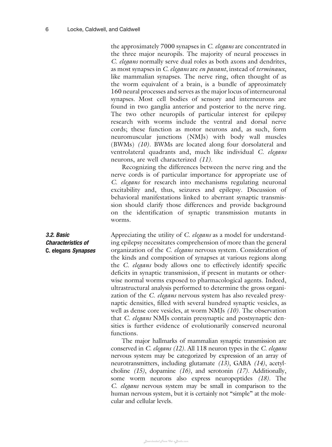 Animal Models Of Epilepsy Methods And Innovations