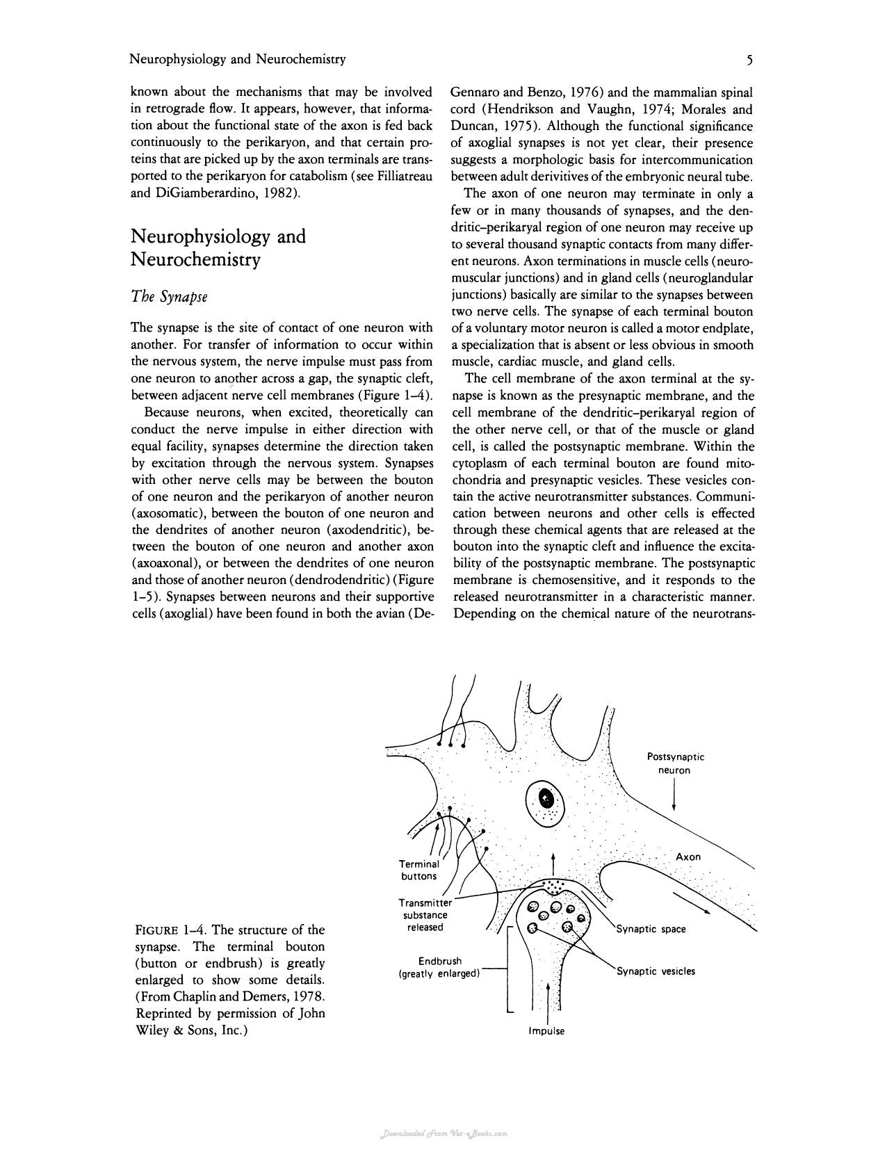 Avian Physiology 4Th Edition