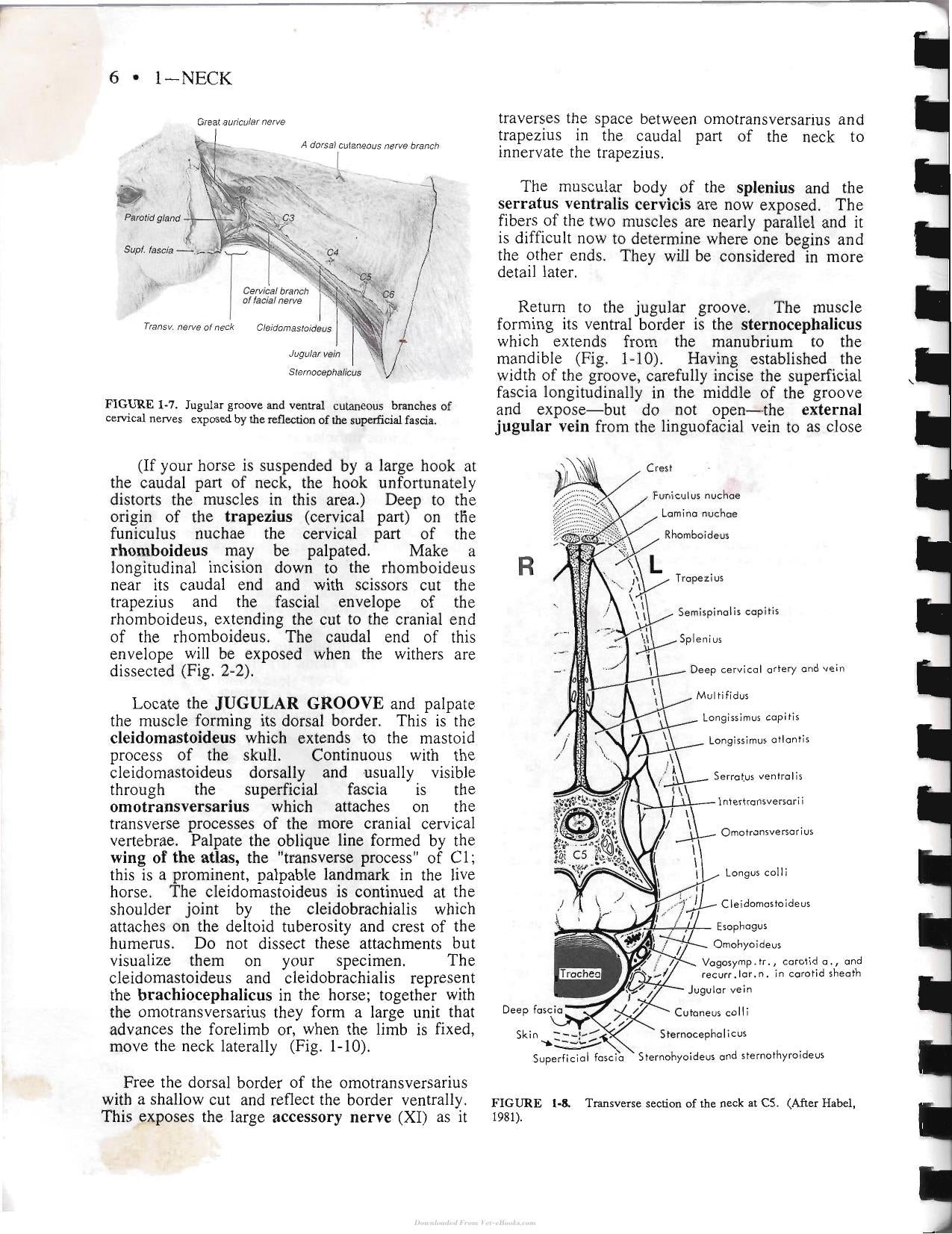 Look inside — page 16