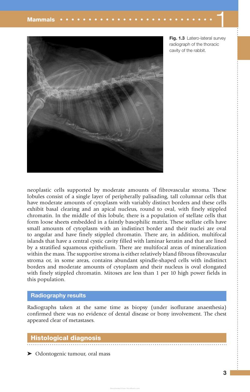 Exotic Animal Medicine Review And Test