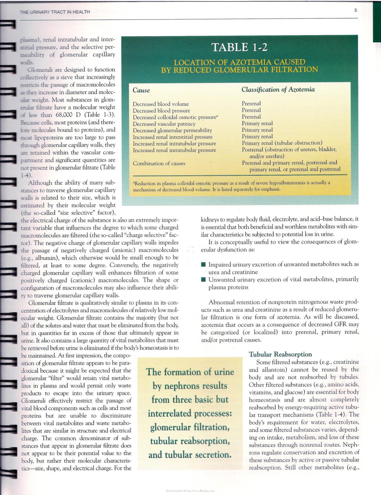 Urinalysis A Clinical Guide To Compassionate Patient Care