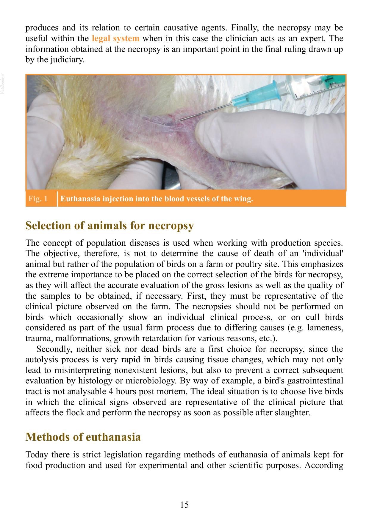 Atlas Of Avian Necropsy Macroscopic Diagnosis Sampling Updated Edition