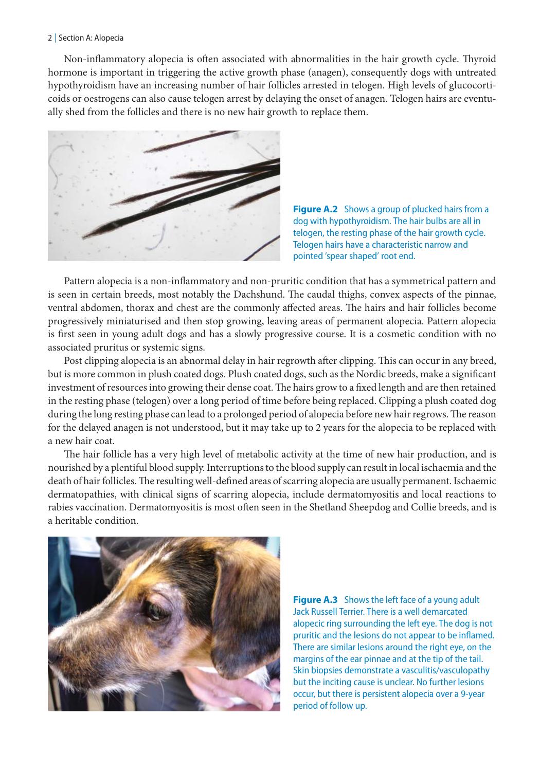 Look inside — page 16