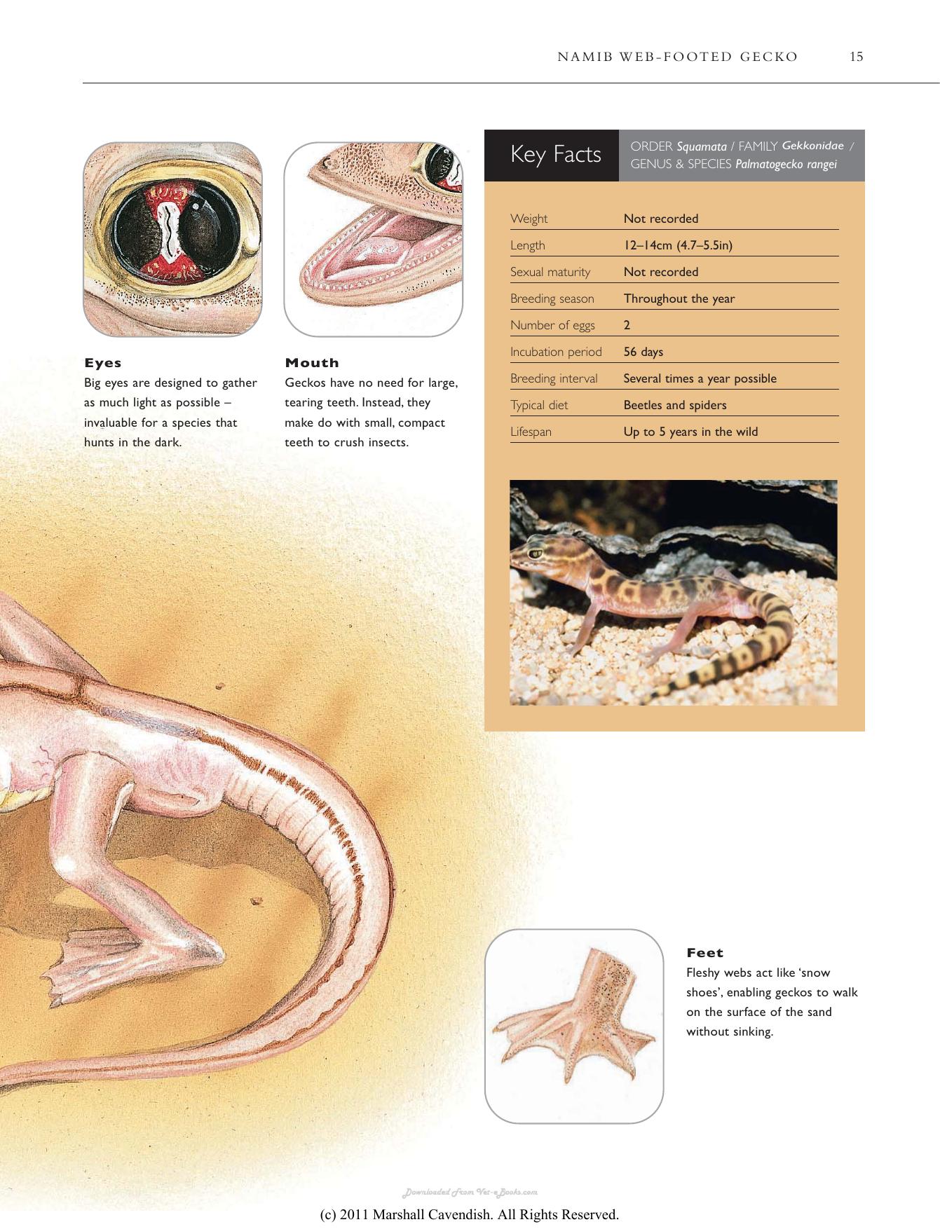 Atlas Of The Worlds Strangest Animals