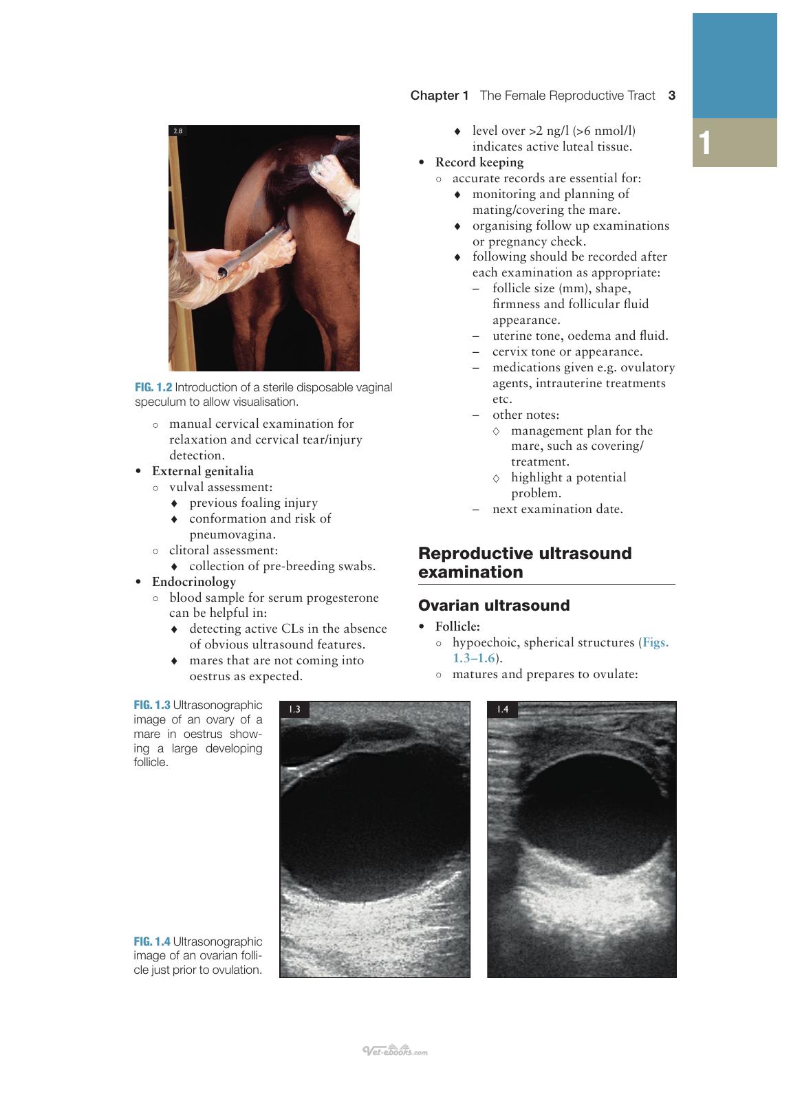 Concise Textbook Of Equine Clinical Practice Book 2 Reproduction And The Foal