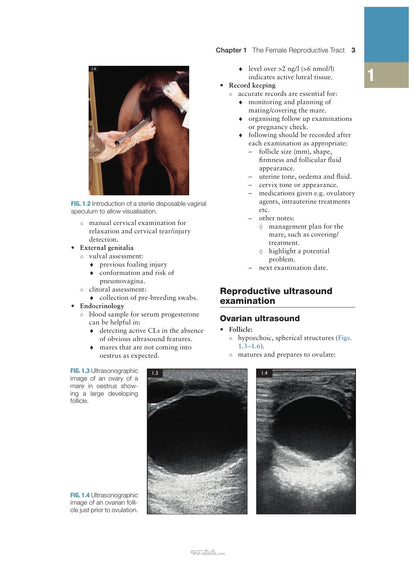 Concise Textbook of Equine Clinical Practice Book 2 Reproduction and the Foal