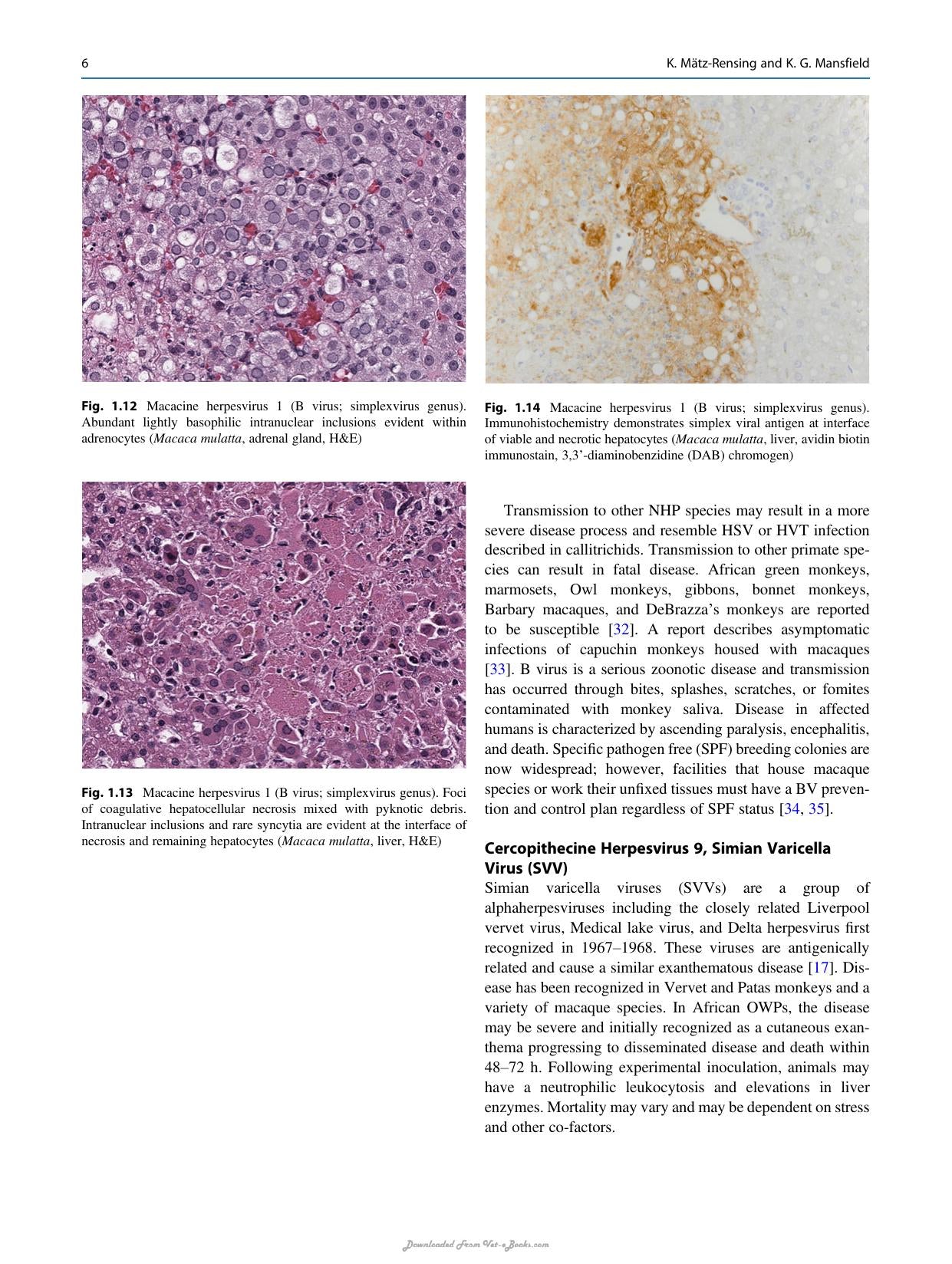 Atlas Of Diagnostic Pathology In Nonhuman Primates