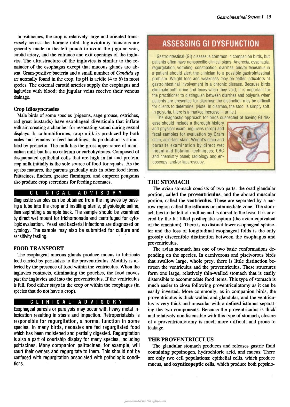 Practical Avian Medicine