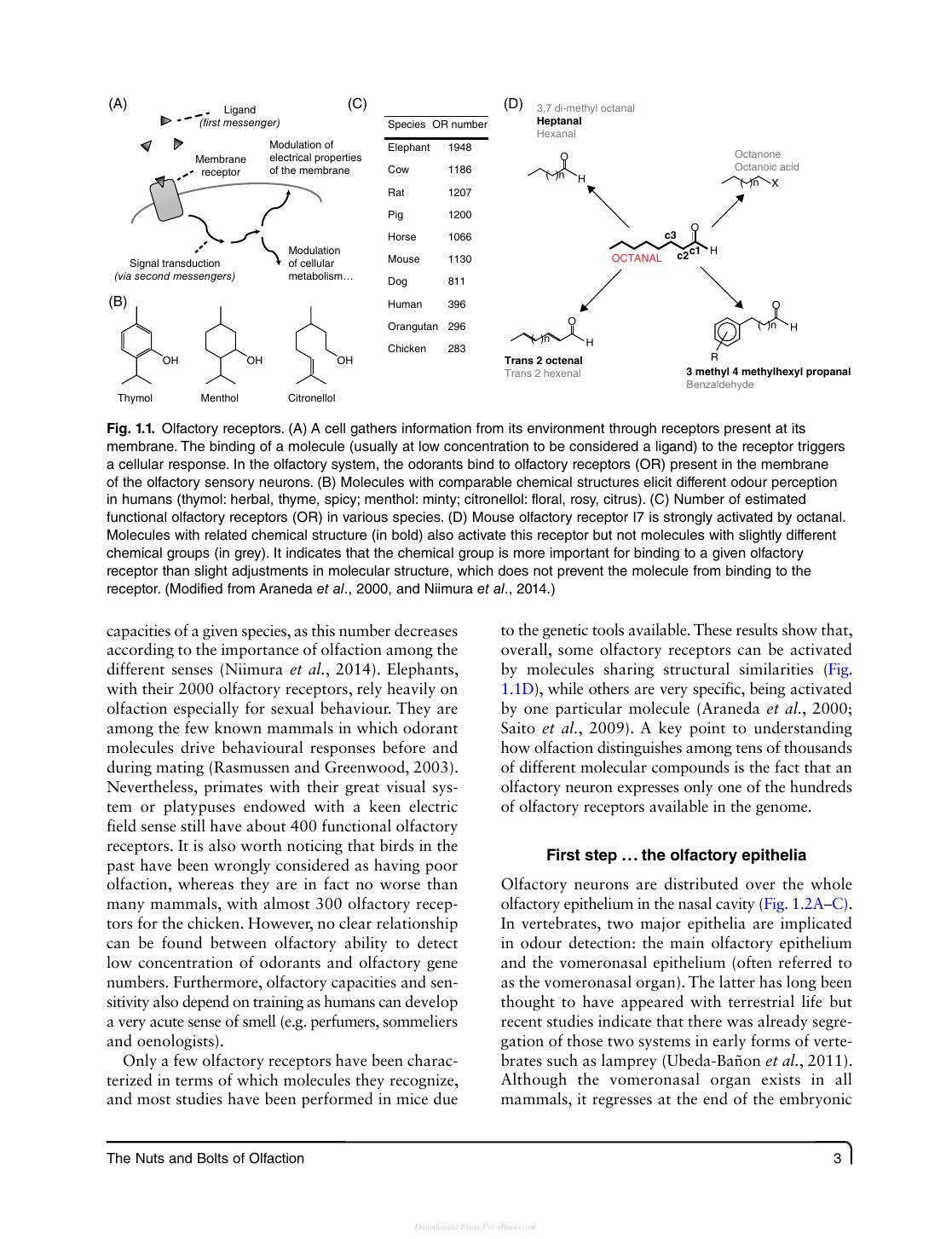 Olfaction In Animal Behaviour And Welfare