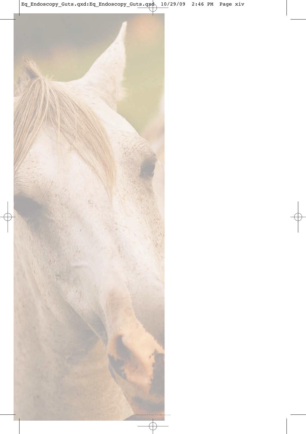 Equine Endoscopy And Arthroscopy For The Equine Practitioner
