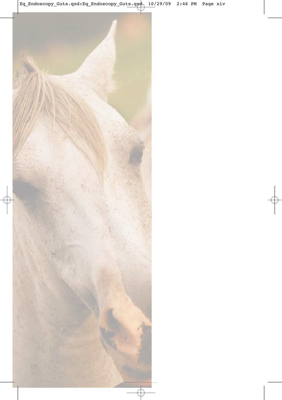 Preview page of Equine Endoscopy and Arthroscopy for the Equine Practitioner