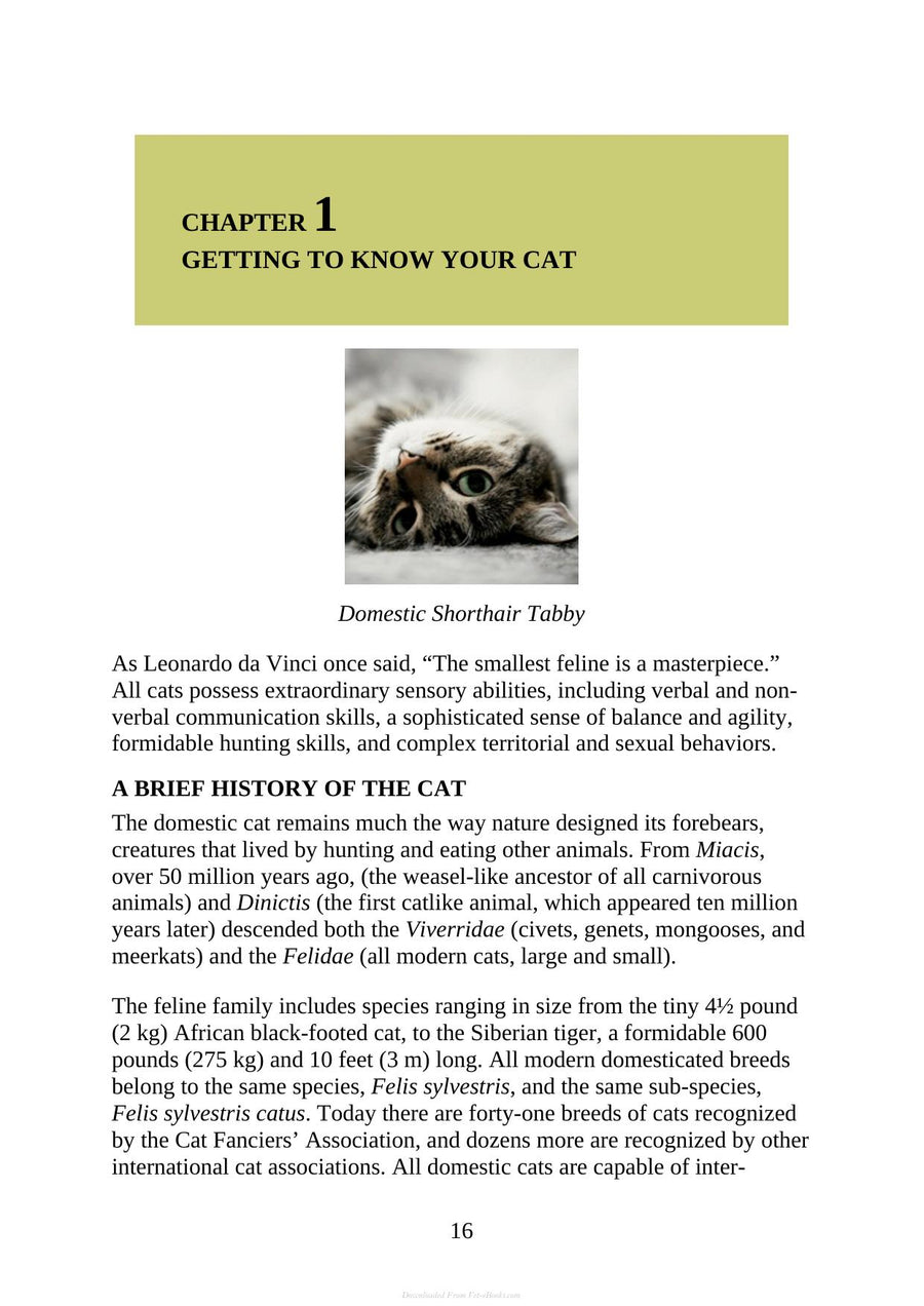 Preview page of The Complete Guide to Holistic Cat Care an Illustrated Handbook