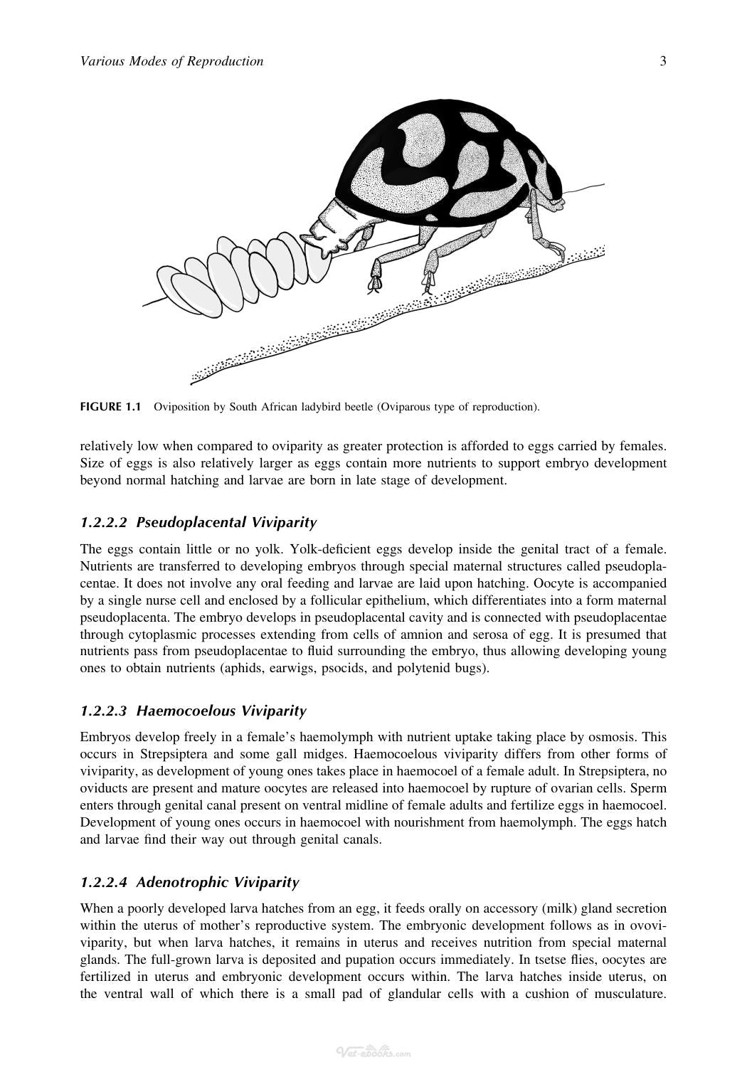 Look inside — page 16
