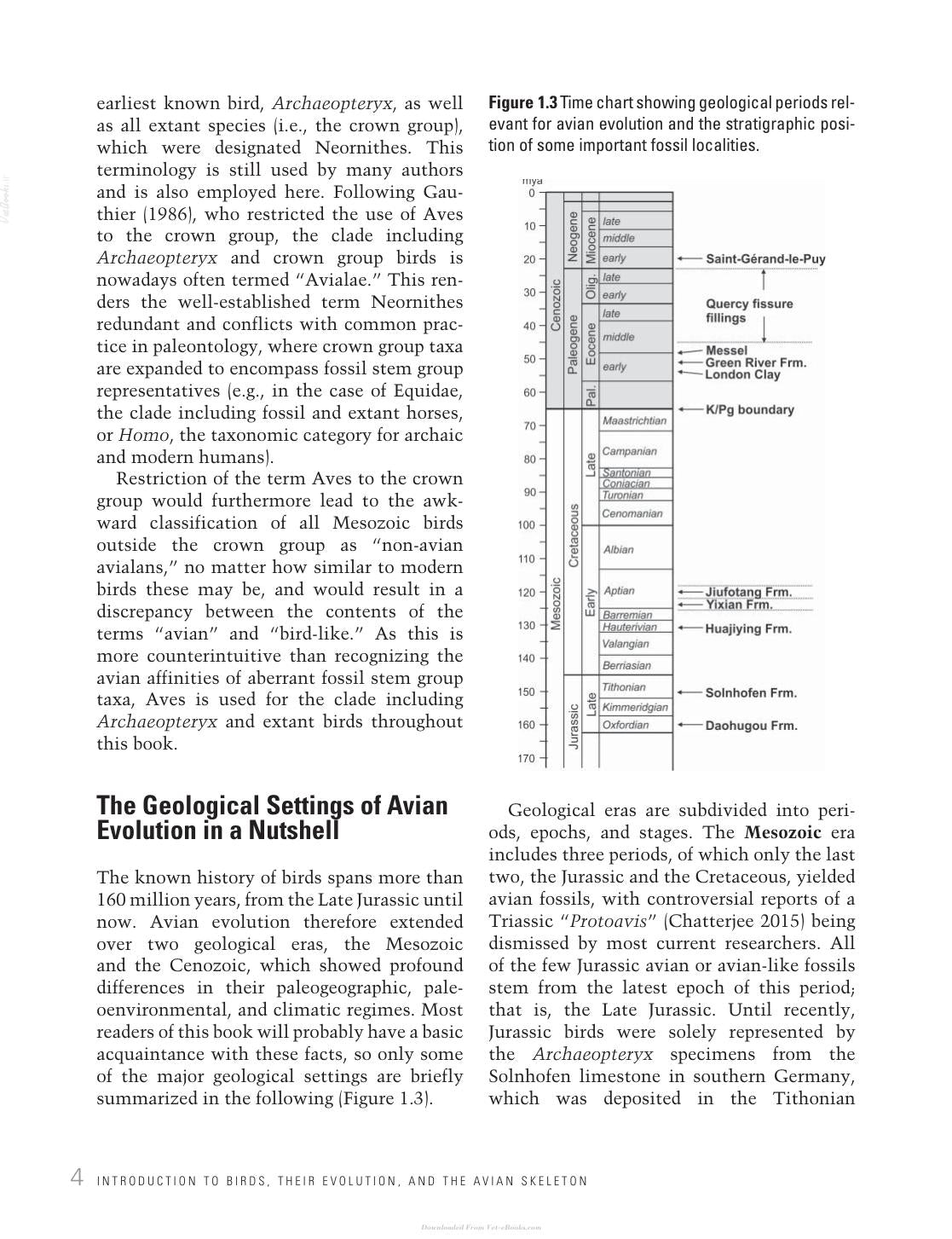 Avian Evolution The Fossil Record Of Birds And Its Paleobiological Significance
