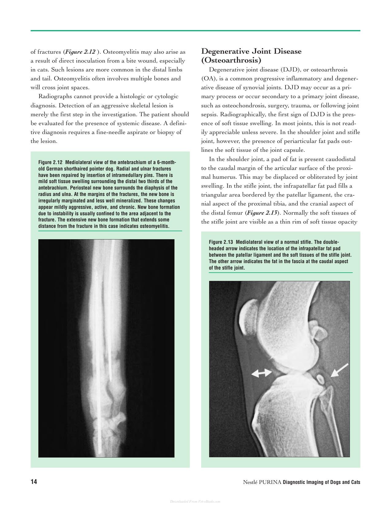Diagnostic Imaging Of Dogs And Cats