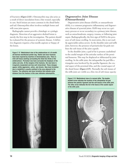 Diagnostic Imaging of Dogs and Cats