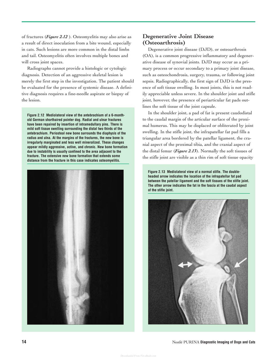 Preview page of Diagnostic Imaging of Dogs and Cats