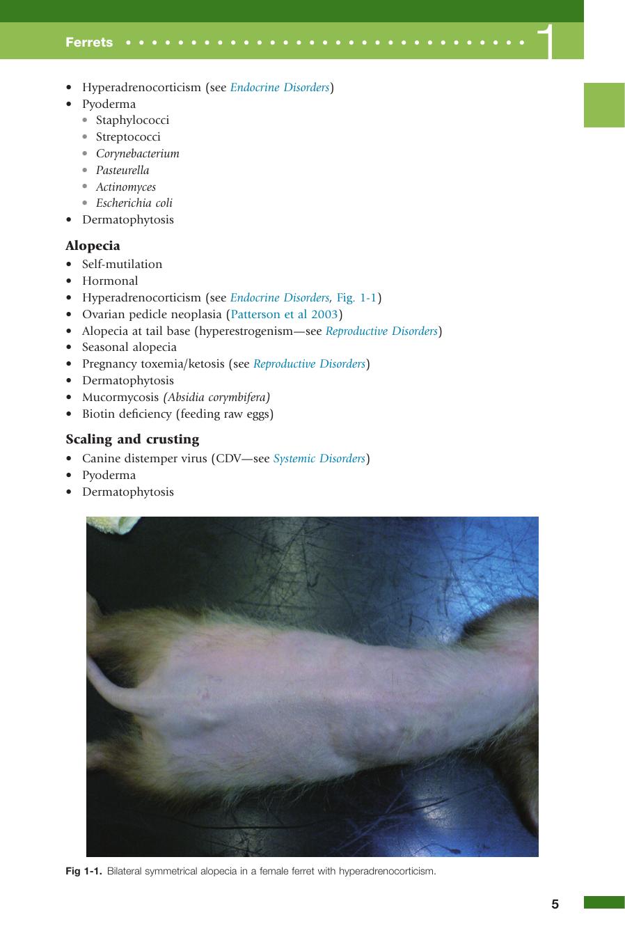 Exotic Animal Medicine 2Nd Edition