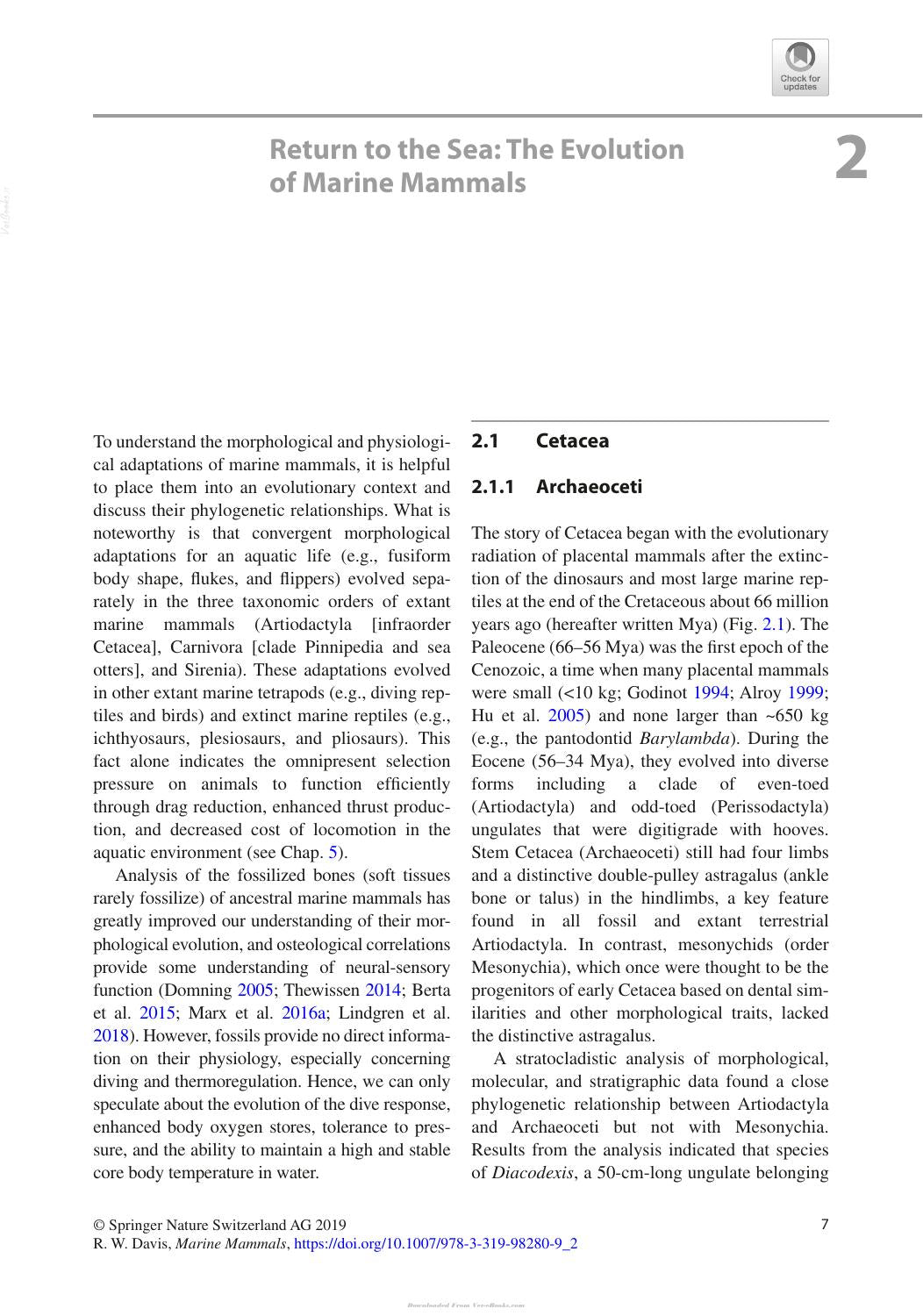 Marine Mammals Adaptations For An Aquatic Life