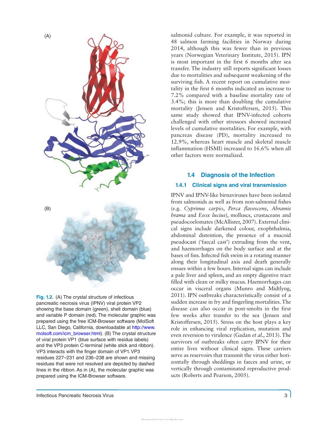 Fish Viruses And Bacteria Pathobiology And Protection