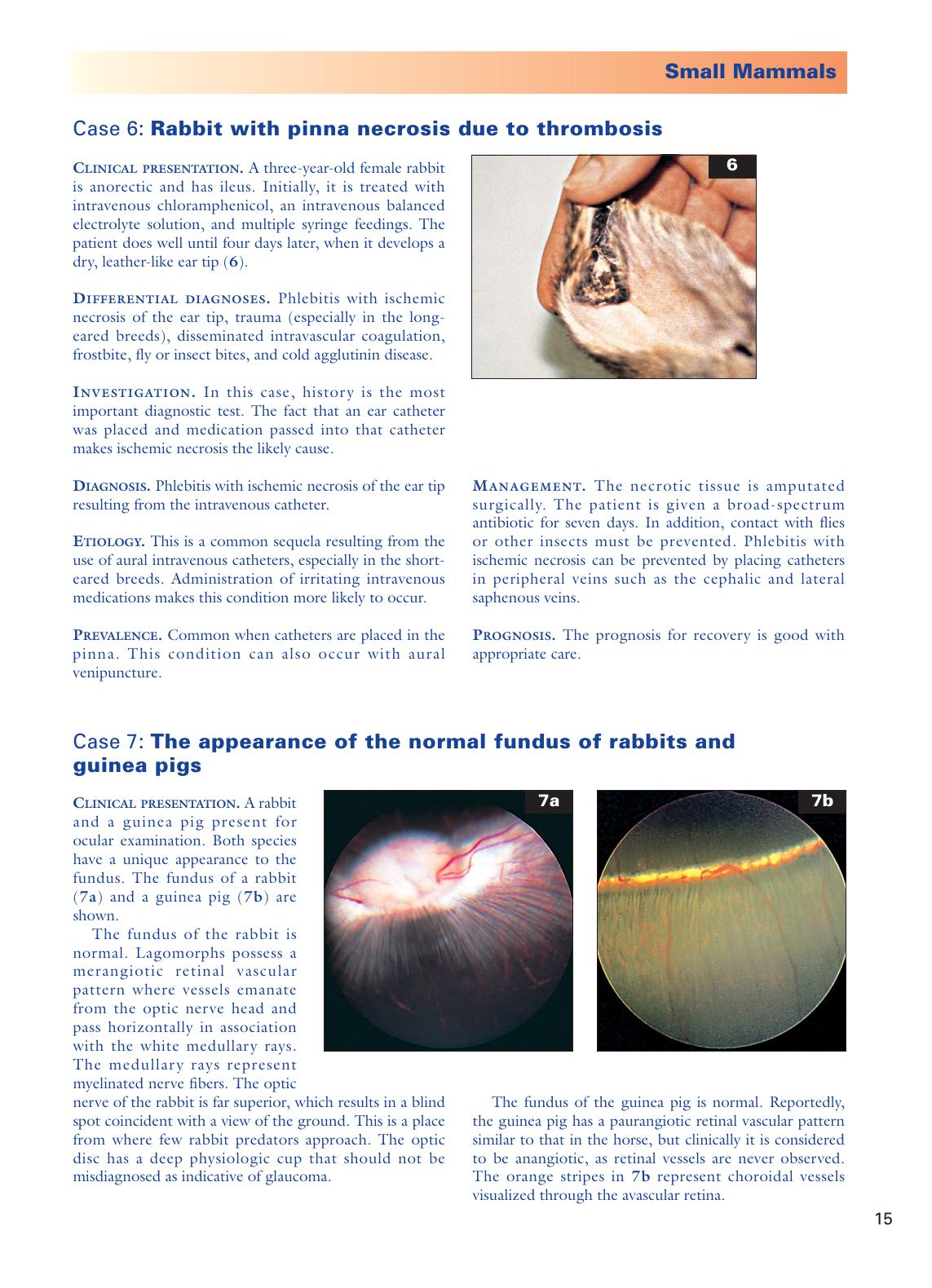 Look inside — page 16