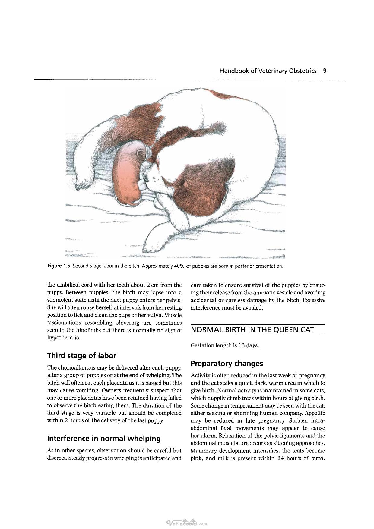 Handbook Of Veterinary Obstetrics 2Nd Edition